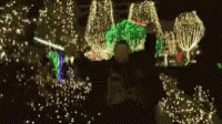 didnotreadlol.gif