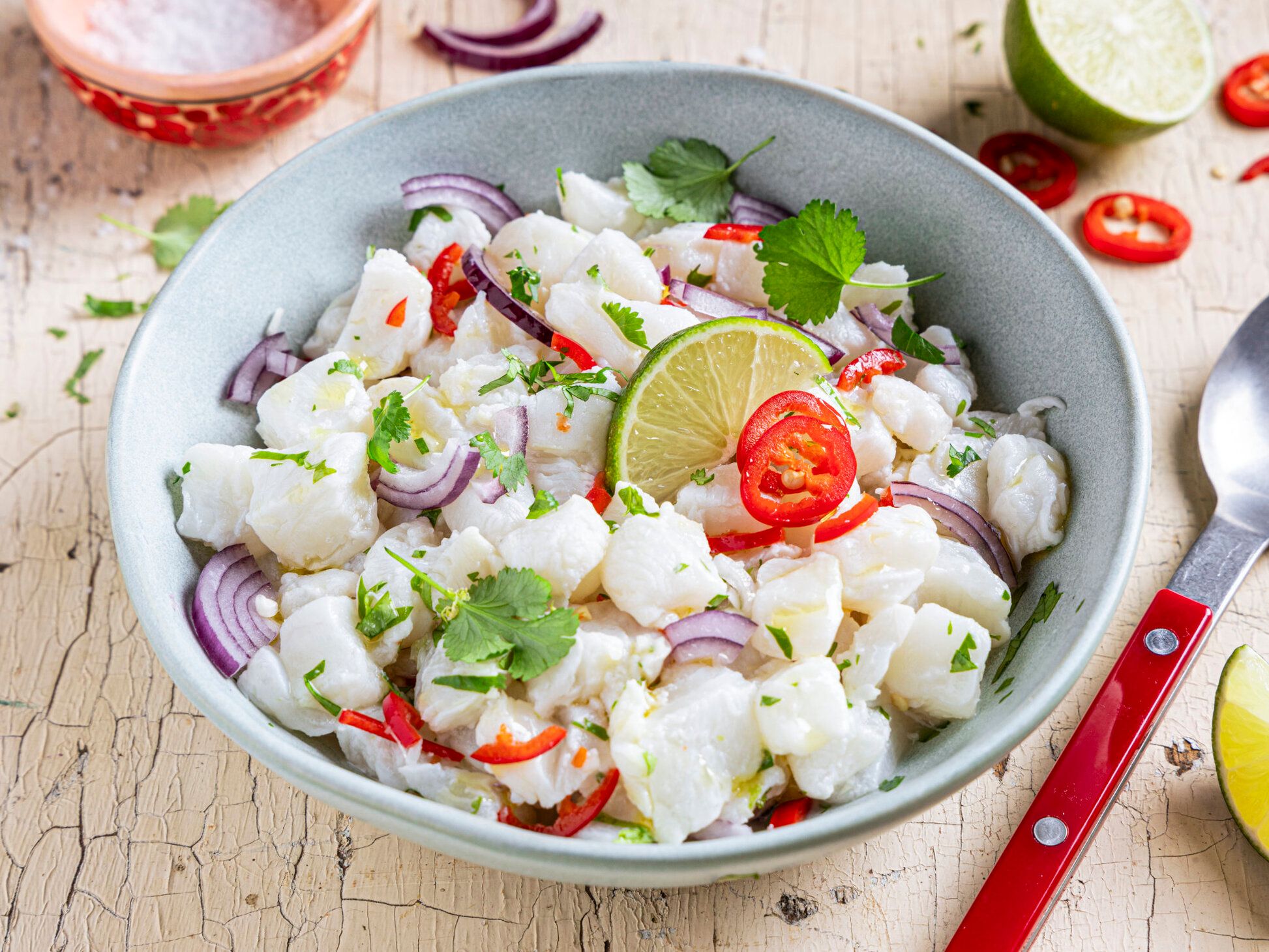 2024_ceviche_aufmacher.jpg