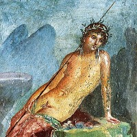 Narcissus